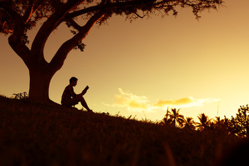 室内十大好养的绿植
