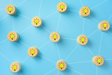 室内十大好养的绿植