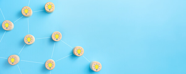 室内十大好养的绿植