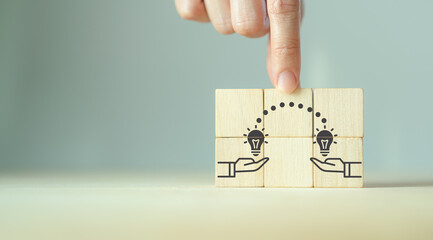 室内十大好养的绿植