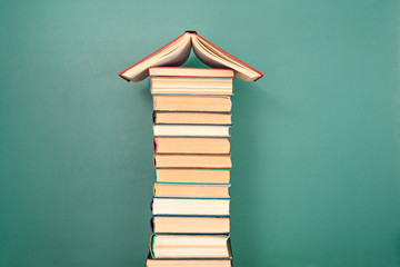 室内十大好养的绿植