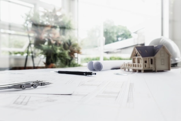 室内十大好养的绿植